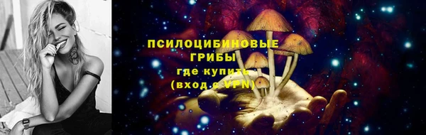 молекула духа Няндома