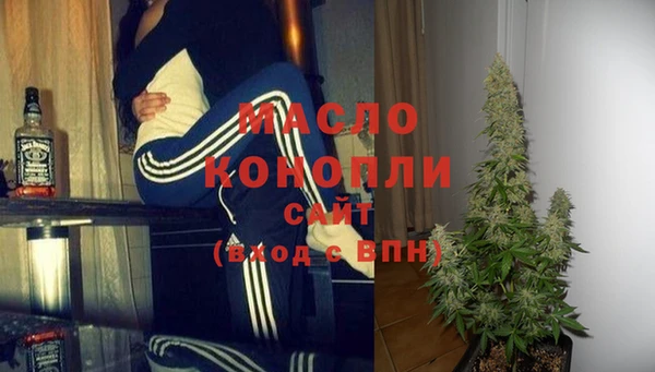 молекула духа Няндома